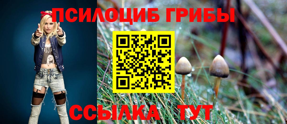 Ульяновск  Галлюциногенные грибы MAGIC MUSHROOMS  Вход с VPN 